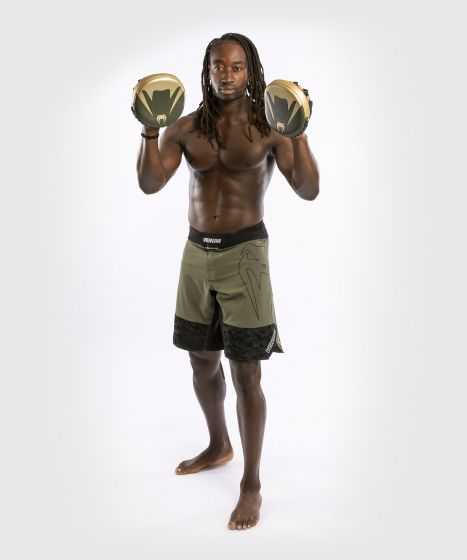 VENUM 专业系列 迷你弧形拳靶 (对) - 卡其/金色