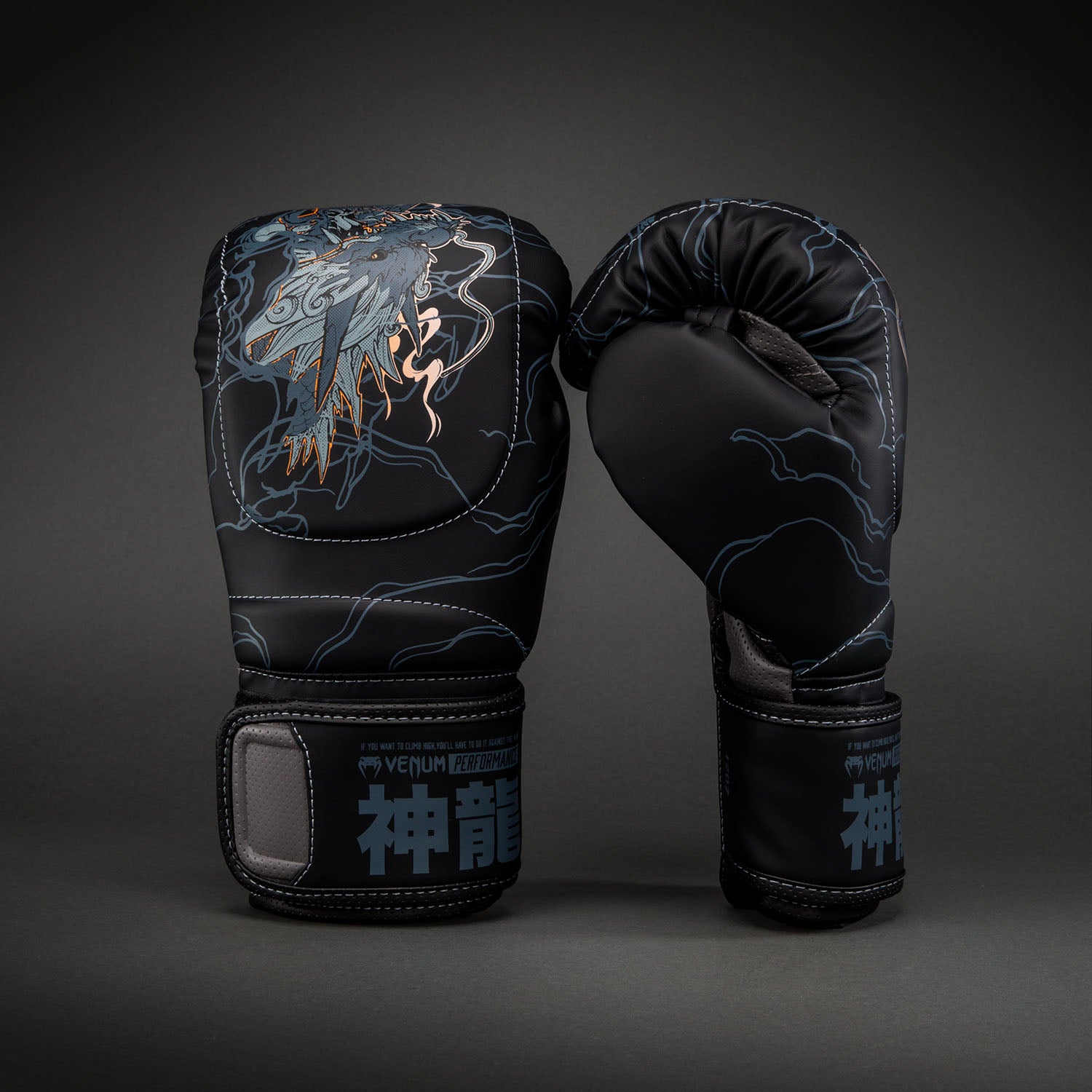 Venum Thunder Dragon Boxing Gloves - Black/Grey/Copper