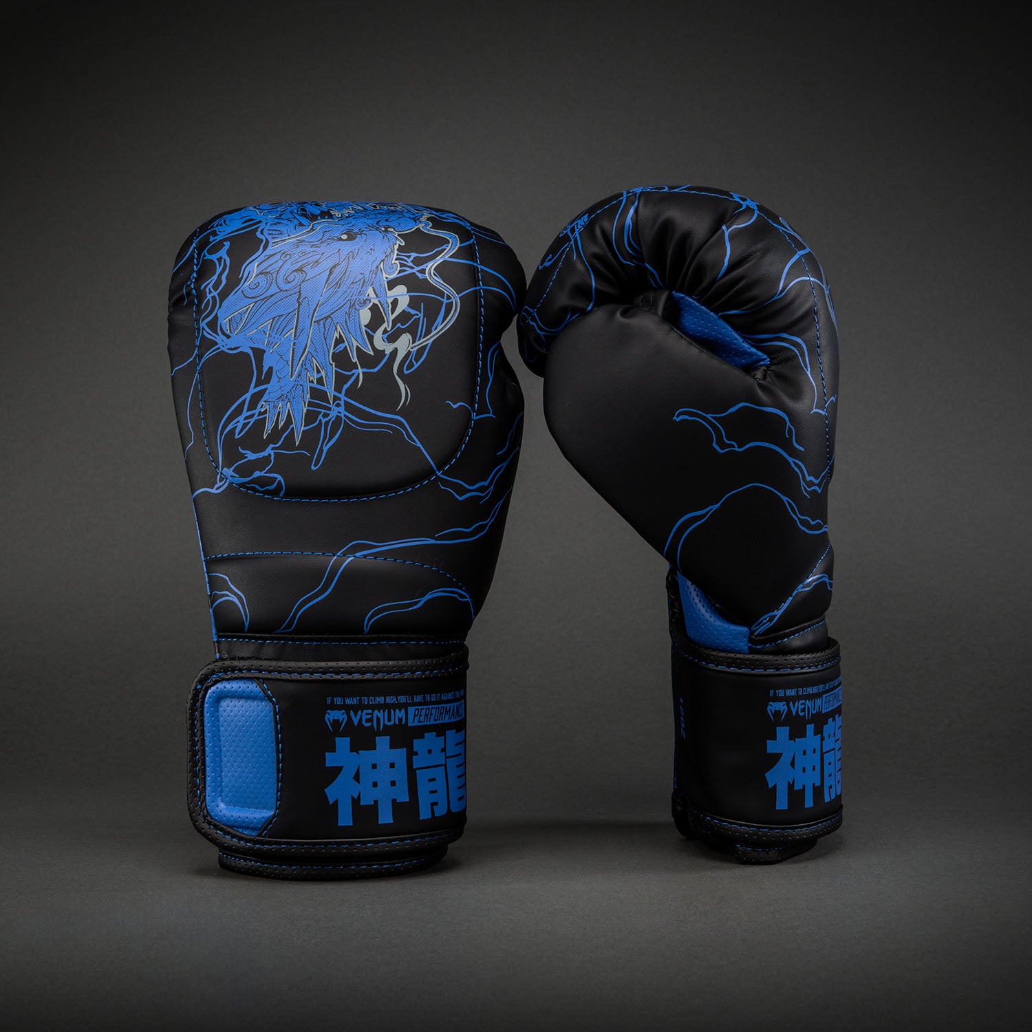Venum Thunder Dragon Boxing Gloves - Black/Royal Blue